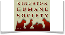 Kingston Humane Society